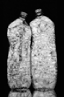 CoherencesII113