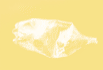 EvanescenceIII103