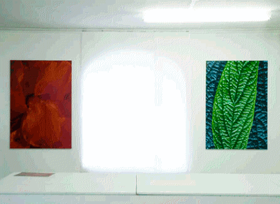 DSC0014